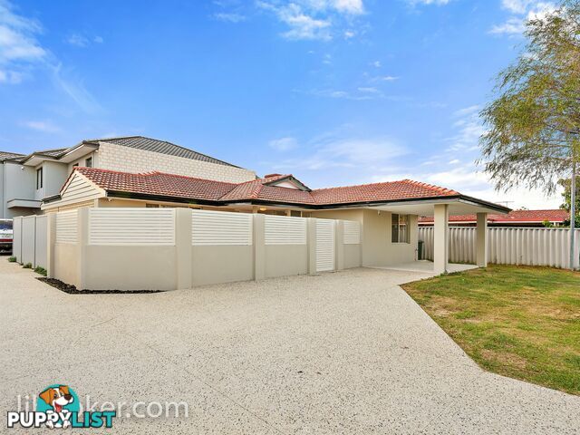 254 Wharf Street QUEENS PARK WA 6107