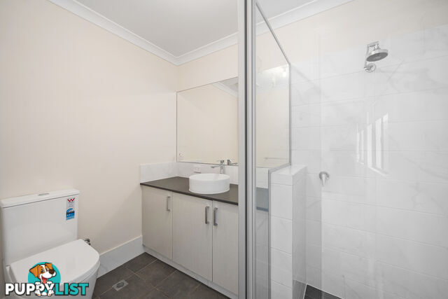 24C Fitzroy Street QUEENS PARK WA 6107