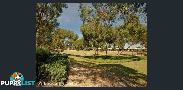 5 Anna Plains Cir ELLENBROOK WA 6069