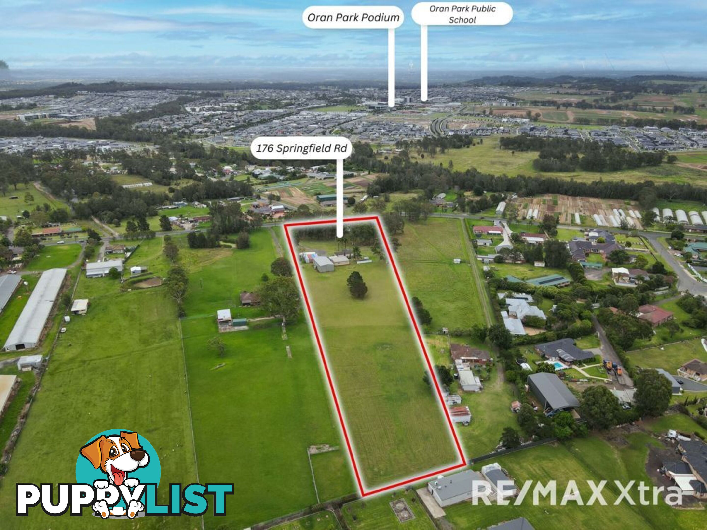 176 Springfield Road CATHERINE FIELD NSW 2557