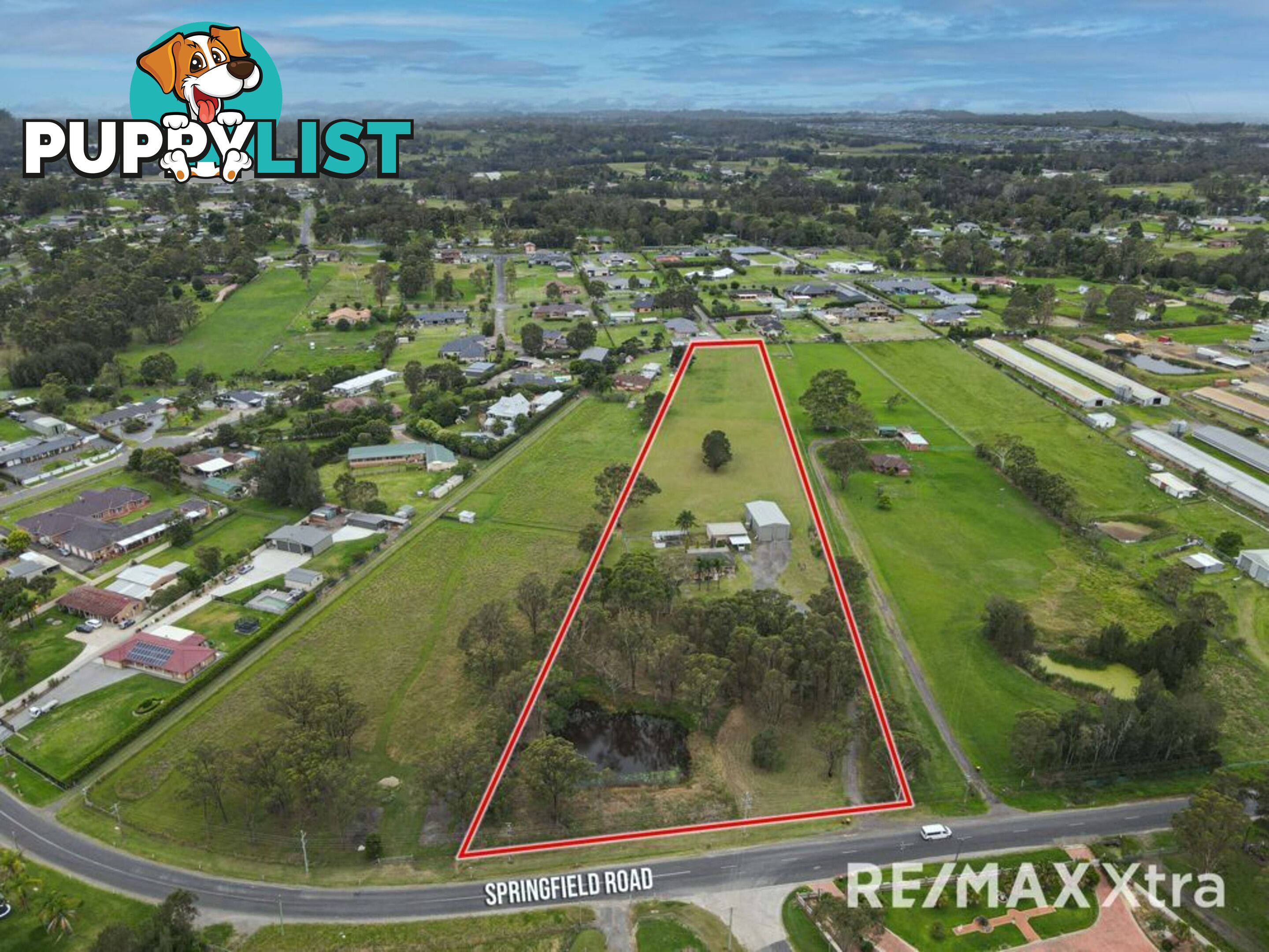 176 Springfield Road CATHERINE FIELD NSW 2557