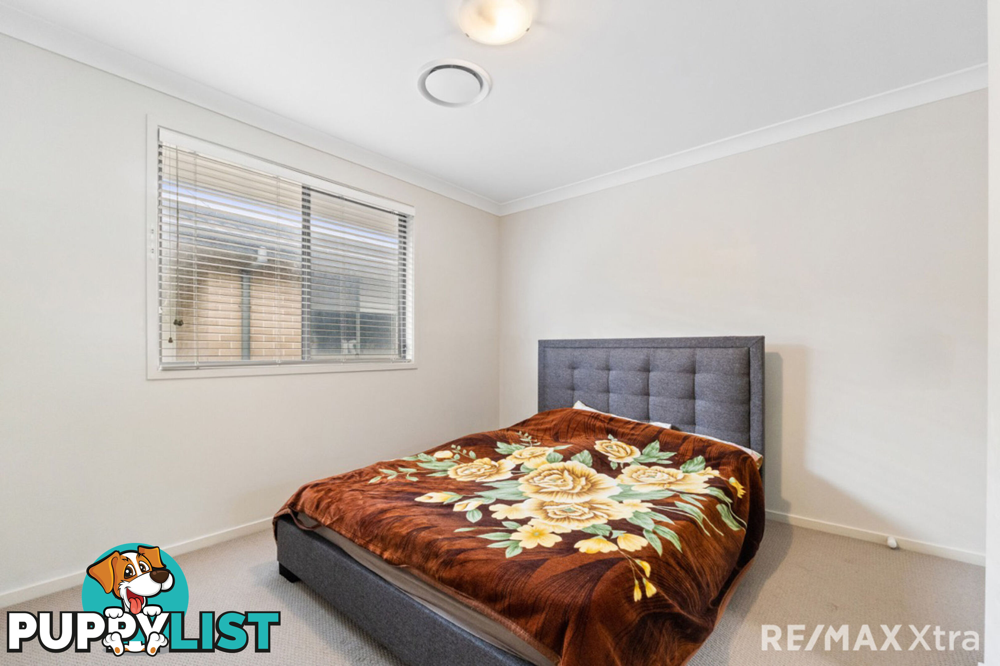 19 Springdale Street MARSDEN PARK NSW 2765