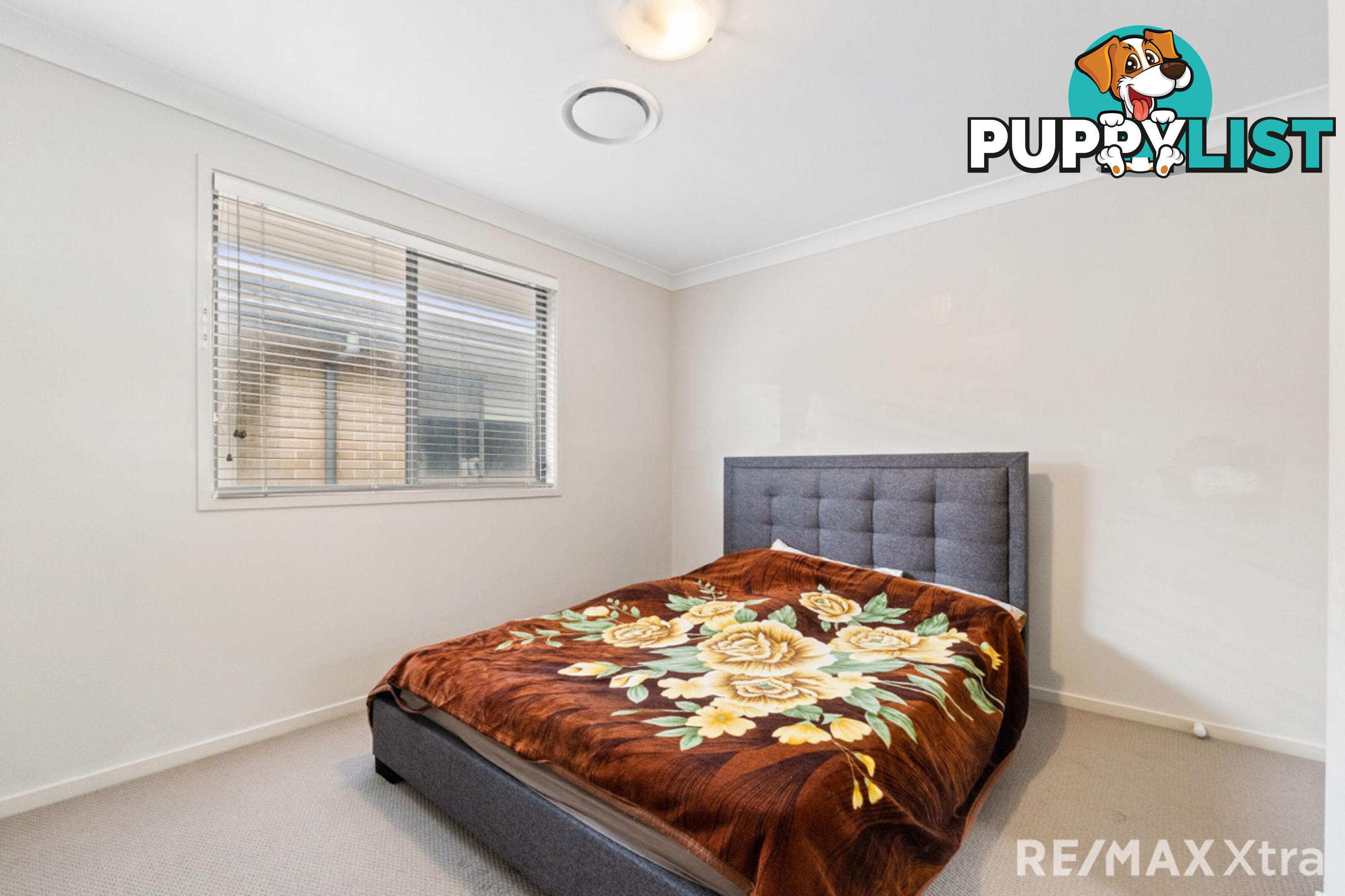 19 Springdale Street MARSDEN PARK NSW 2765