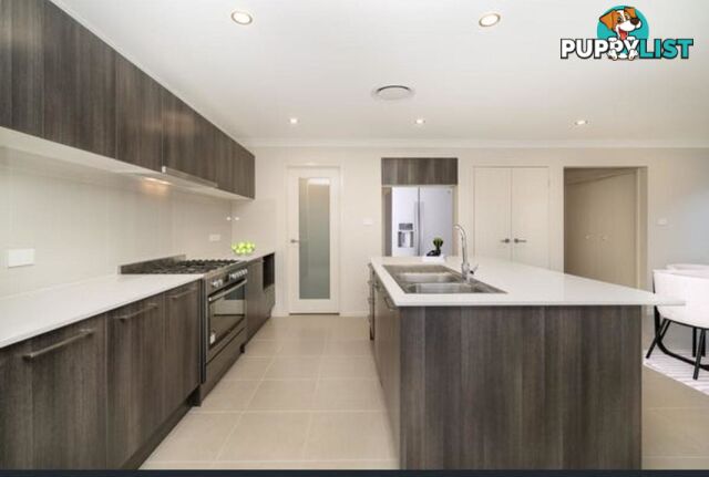 19 Springdale Street MARSDEN PARK NSW 2765