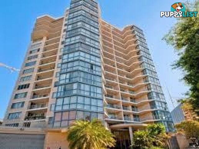 147/3 Sorrell Street PARRAMATTA NSW 2150