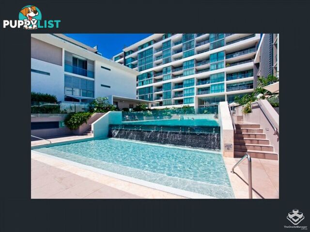 ID:21146855 33 T E Peters Drive Broadbeach QLD 4218