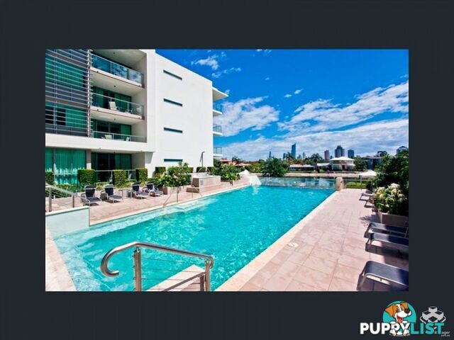 ID:21146855 33 T E Peters Drive Broadbeach QLD 4218