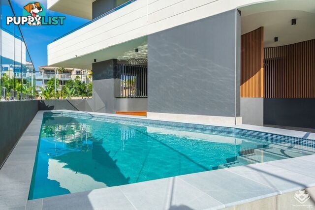 ID:21153918 110 Frank Street Labrador QLD 4215