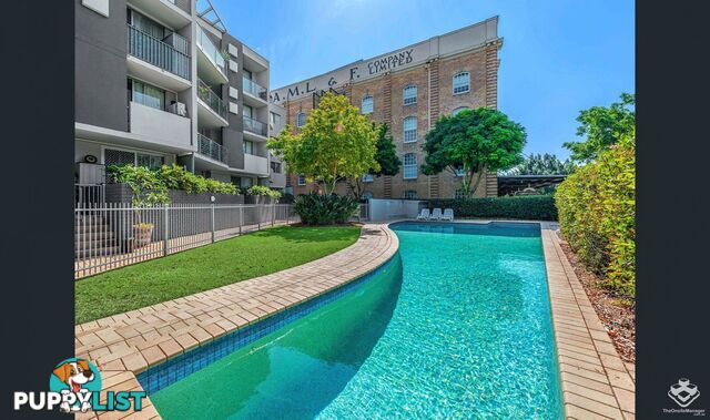ID:21153934 36 Vernon Terrace Teneriffe QLD 4005