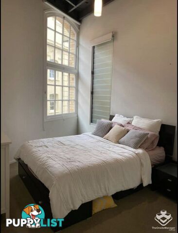 ID:21153934 36 Vernon Terrace Teneriffe QLD 4005