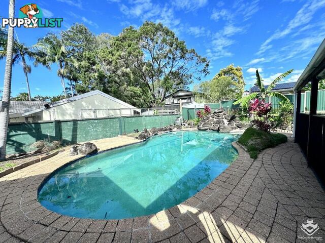 152 Heeb Street Benowa QLD 4217