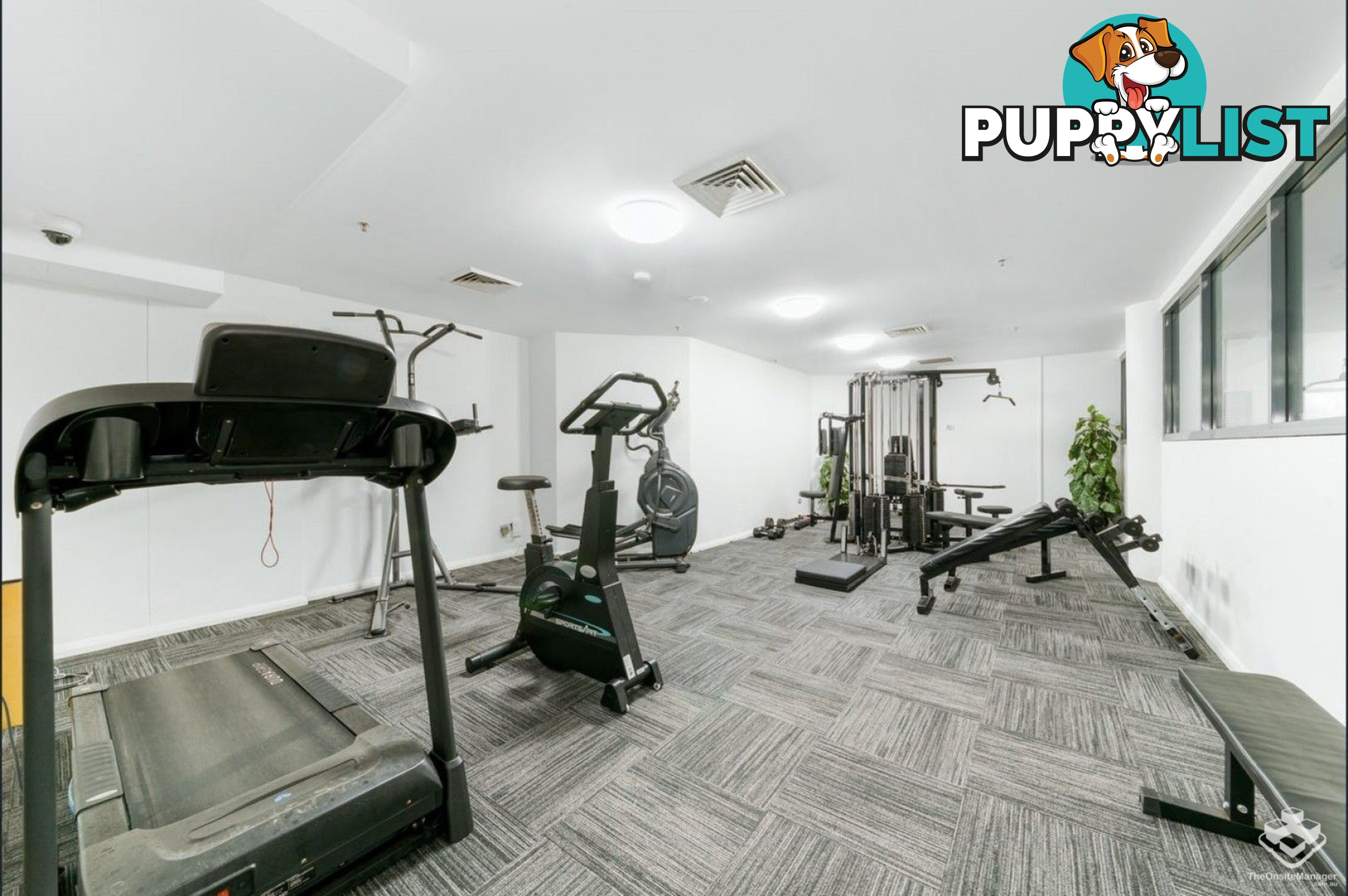 114/6-10 Romsey Waitara NSW 2077