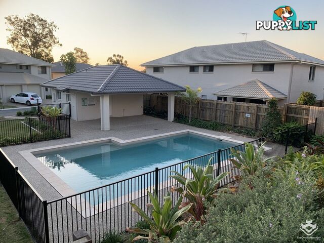 ID:21140170/28 Peacock Road Kallangur QLD 4503