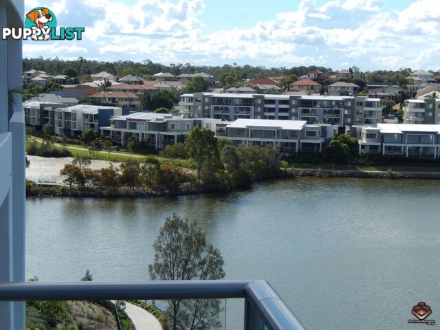 ID:3898124/397 Christine Avenue Varsity Lakes QLD 4227