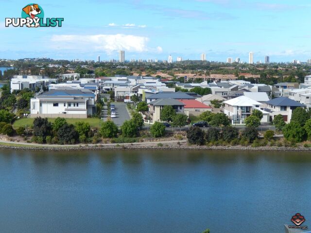 ID:3898124/397 Christine Avenue Varsity Lakes QLD 4227