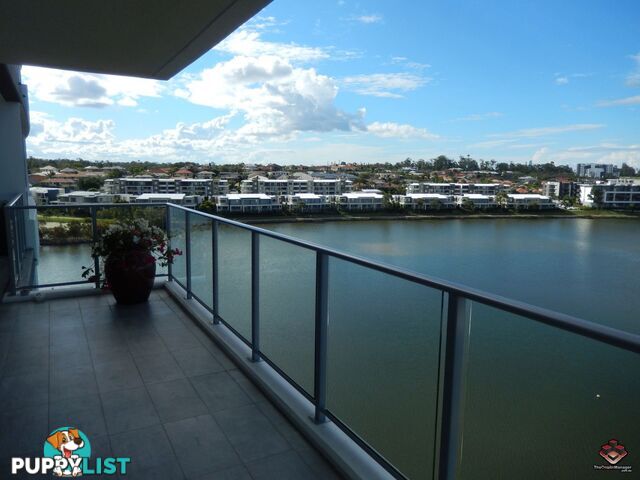 ID:3898124/397 Christine Avenue Varsity Lakes QLD 4227