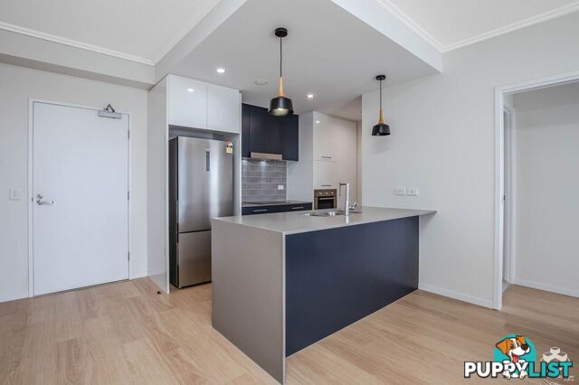 ID:21154016 25 Parnell Boulevard Robina QLD 4226