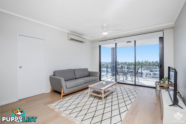 ID:21154016 25 Parnell Boulevard Robina QLD 4226