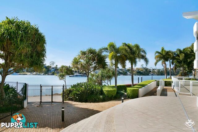 ID:21154837 1 Gray Street New Farm QLD 4005