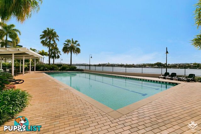 ID:21154837 1 Gray Street New Farm QLD 4005