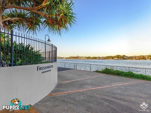 ID:21154837 1 Gray Street New Farm QLD 4005