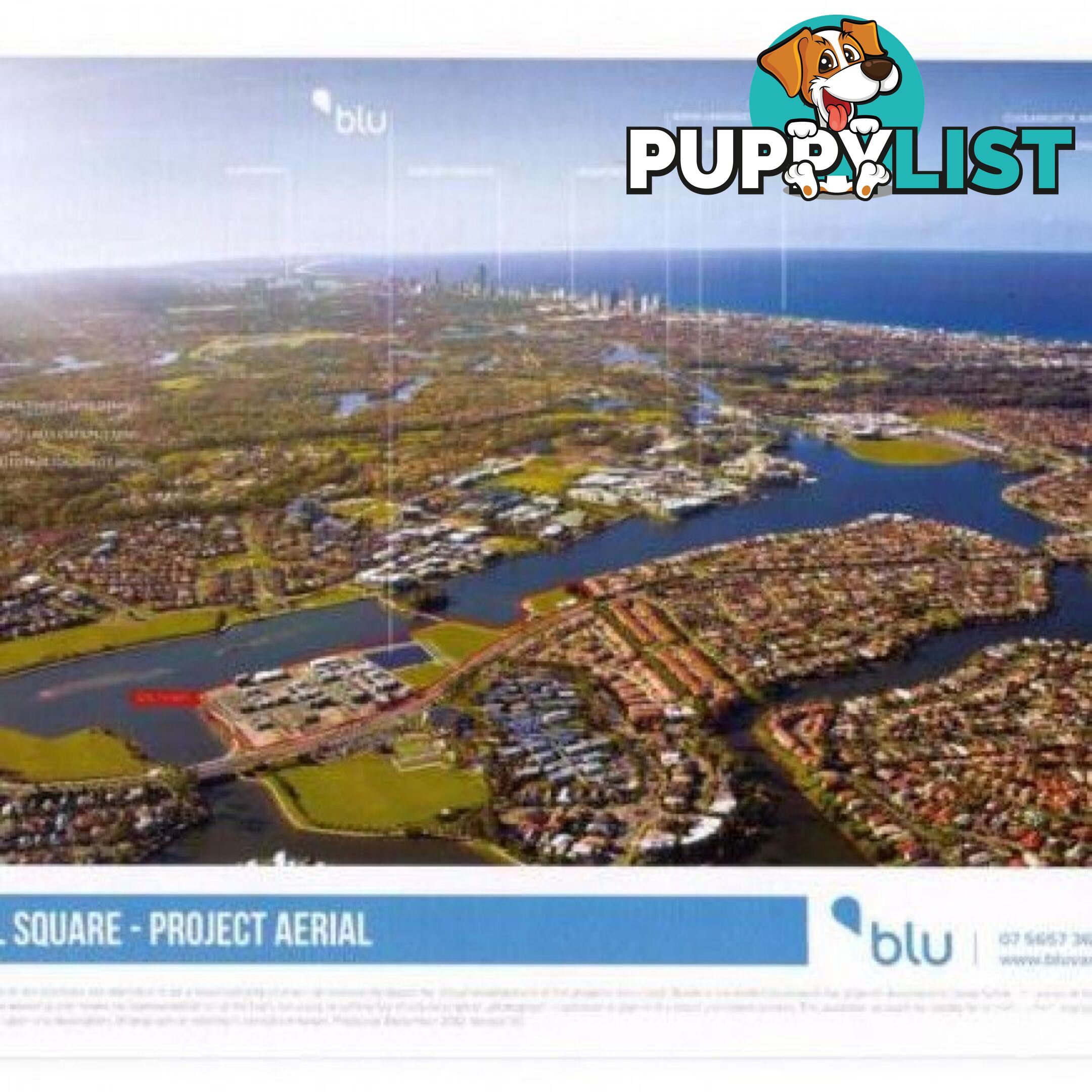 13/2 Emily Way Varsity Lakes QLD 4227