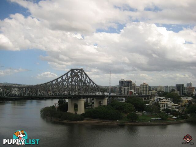 ID:3897318/82 Boundary Street Brisbane City QLD 4000