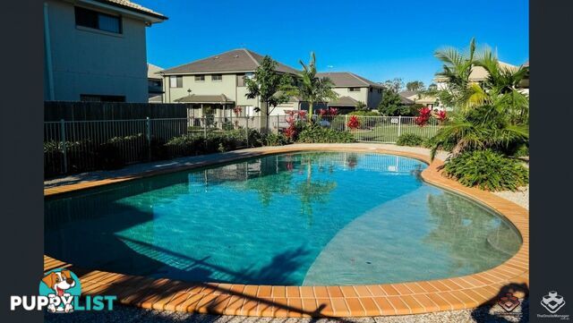 ID:21145507/6 White Ibis Drive Griffin QLD 4503