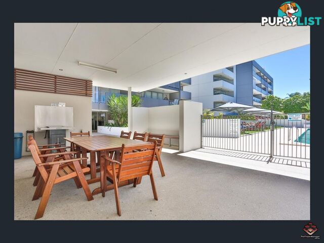 ID:3894479/24 Allwood Street Indooroopilly QLD 4068