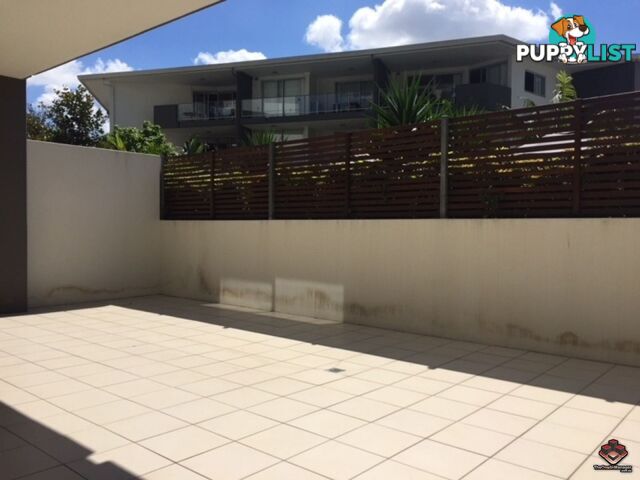 ID:3894479/24 Allwood Street Indooroopilly QLD 4068