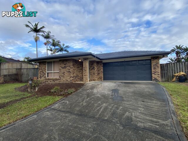 24 Murphy Street Calamvale QLD 4116