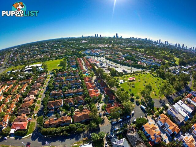 44/83 Heeb Street Ashmore QLD 4214