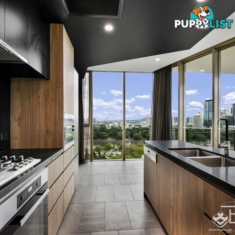 ID:21156603 25 Shafston Avenue Kangaroo Point QLD 4169