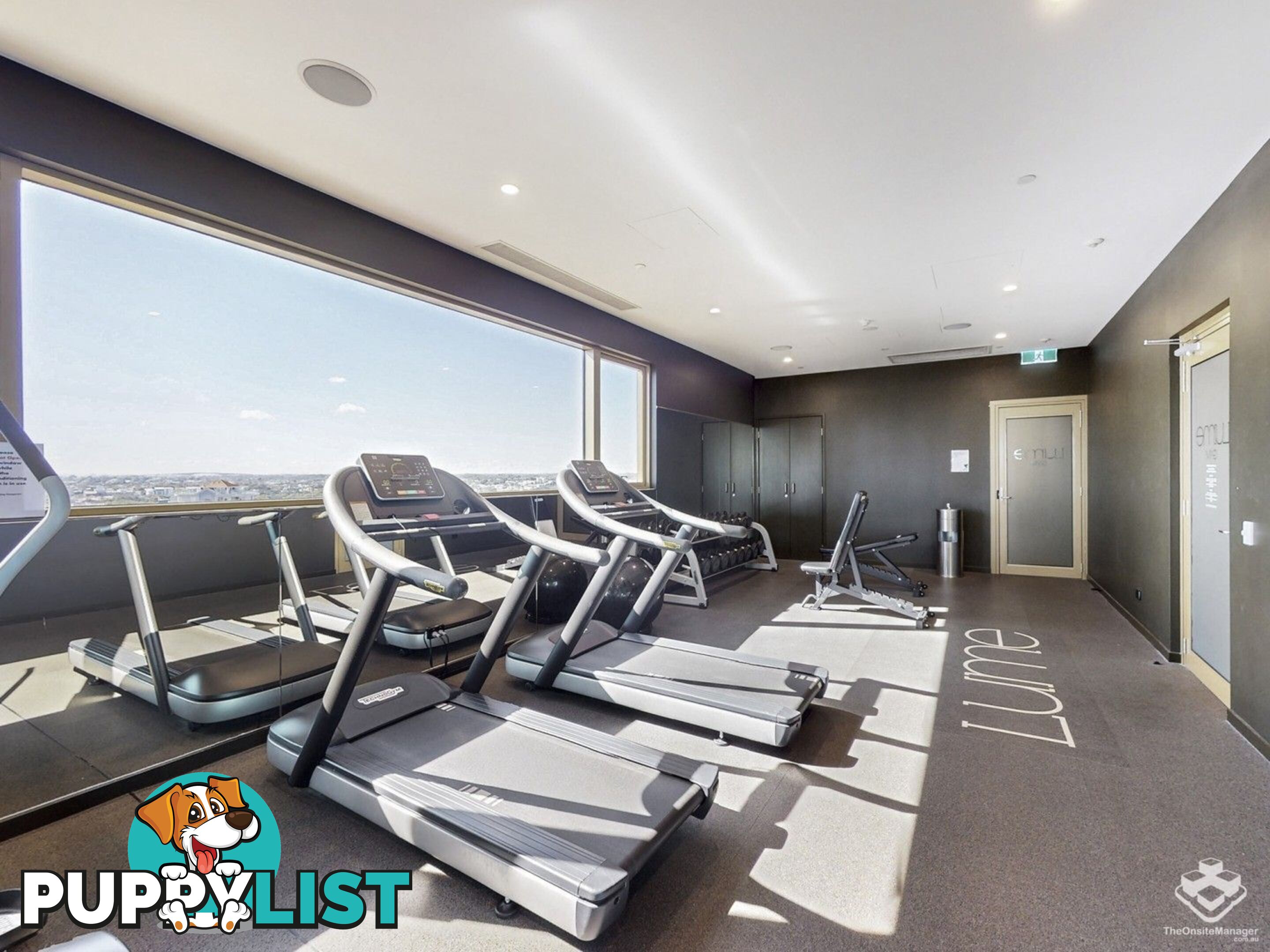 ID:21156603 25 Shafston Avenue Kangaroo Point QLD 4169