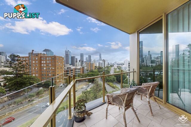 ID:21156603 25 Shafston Avenue Kangaroo Point QLD 4169