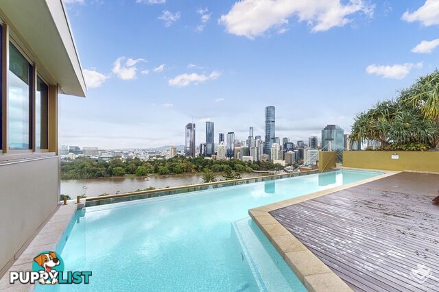 ID:21156603 25 Shafston Avenue Kangaroo Point QLD 4169