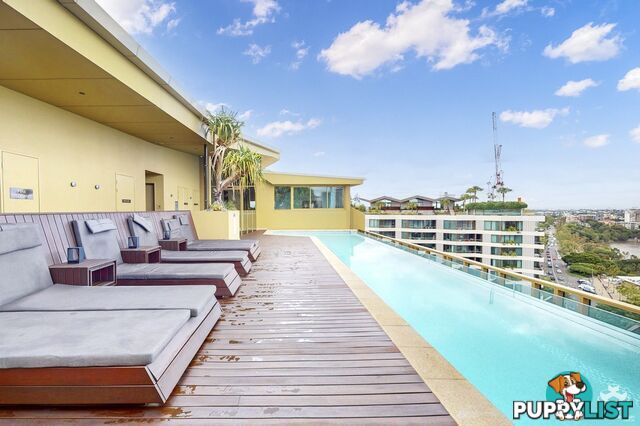 ID:21156603 25 Shafston Avenue Kangaroo Point QLD 4169
