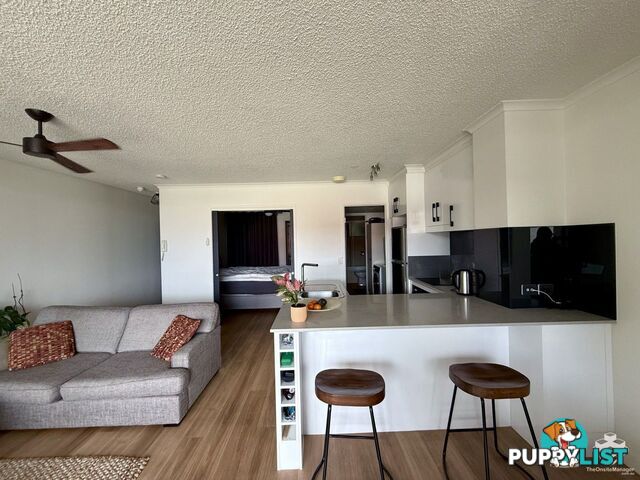ID:21158776 20 Malt Street Fortitude Valley QLD 4006
