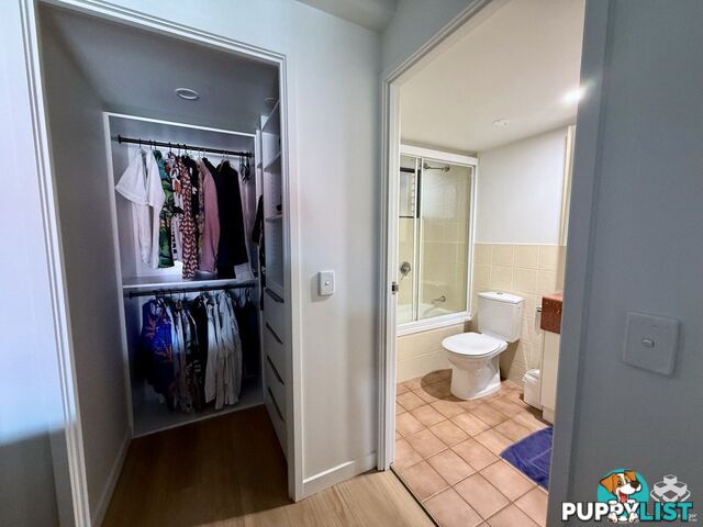 ID:21158776 20 Malt Street Fortitude Valley QLD 4006