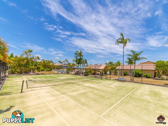 ID:21067280 50 St Kevins Avenue Benowa QLD 4217