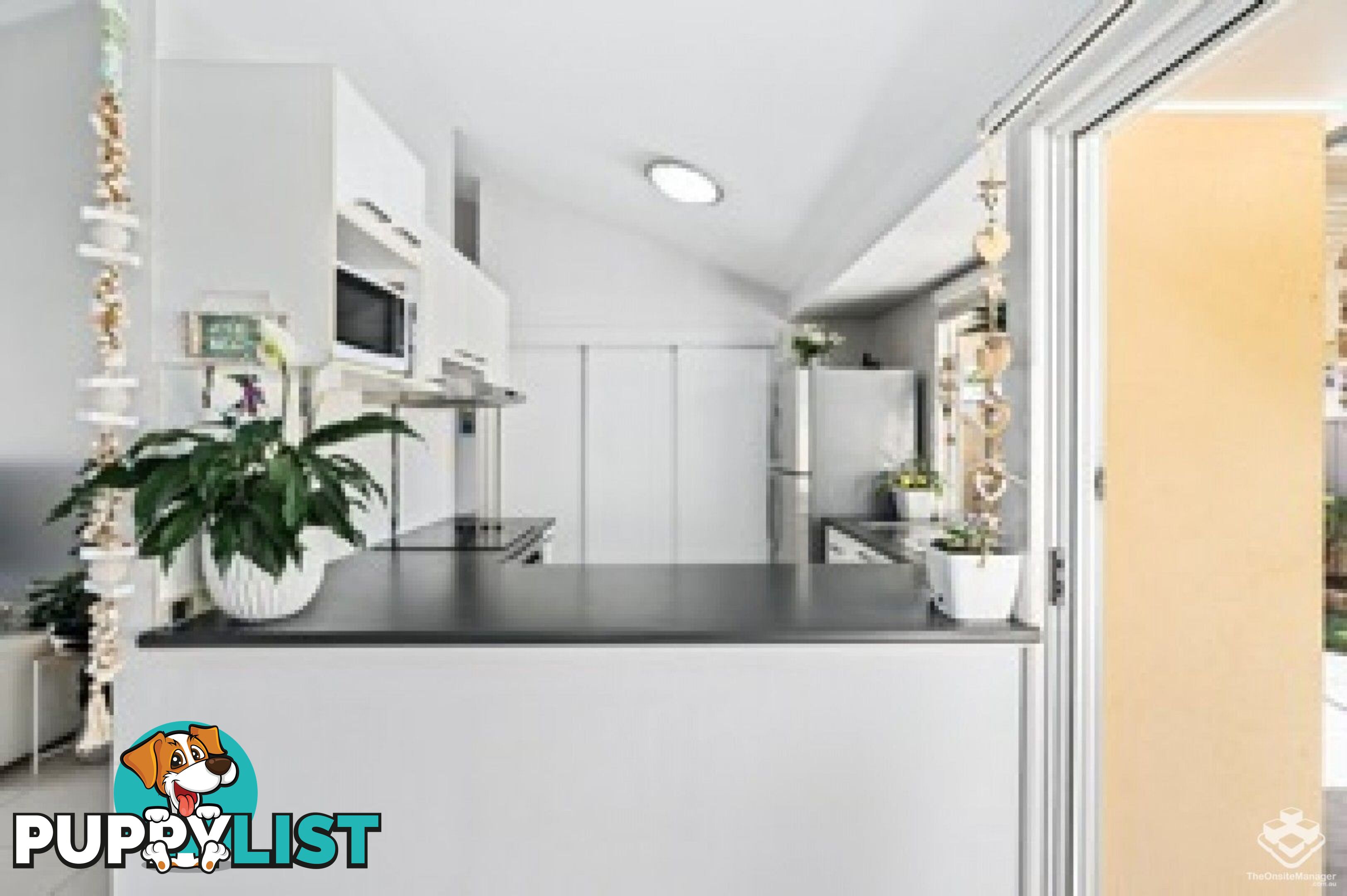 ID:21067280 50 St Kevins Avenue Benowa QLD 4217