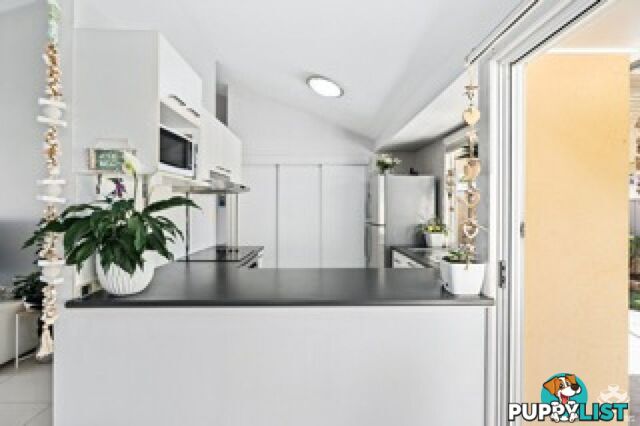 ID:21067280 50 St Kevins Avenue Benowa QLD 4217