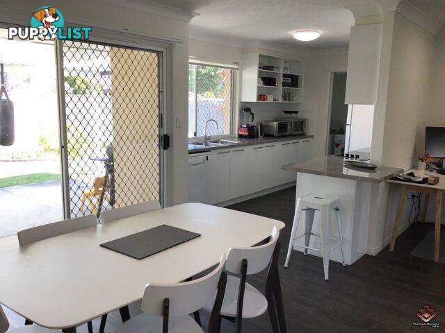 ID:21067280 50 St Kevins Avenue Benowa QLD 4217