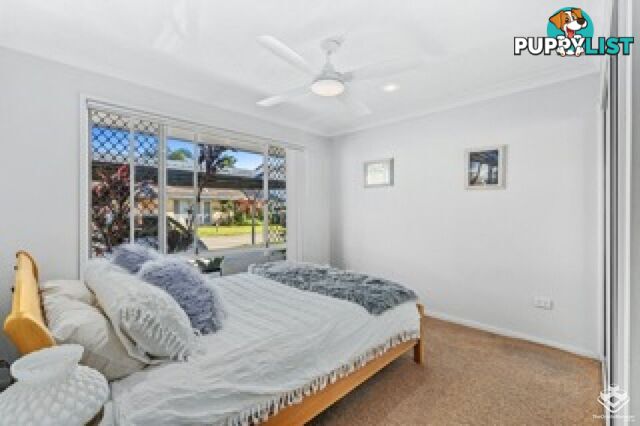 ID:21067280 50 St Kevins Avenue Benowa QLD 4217