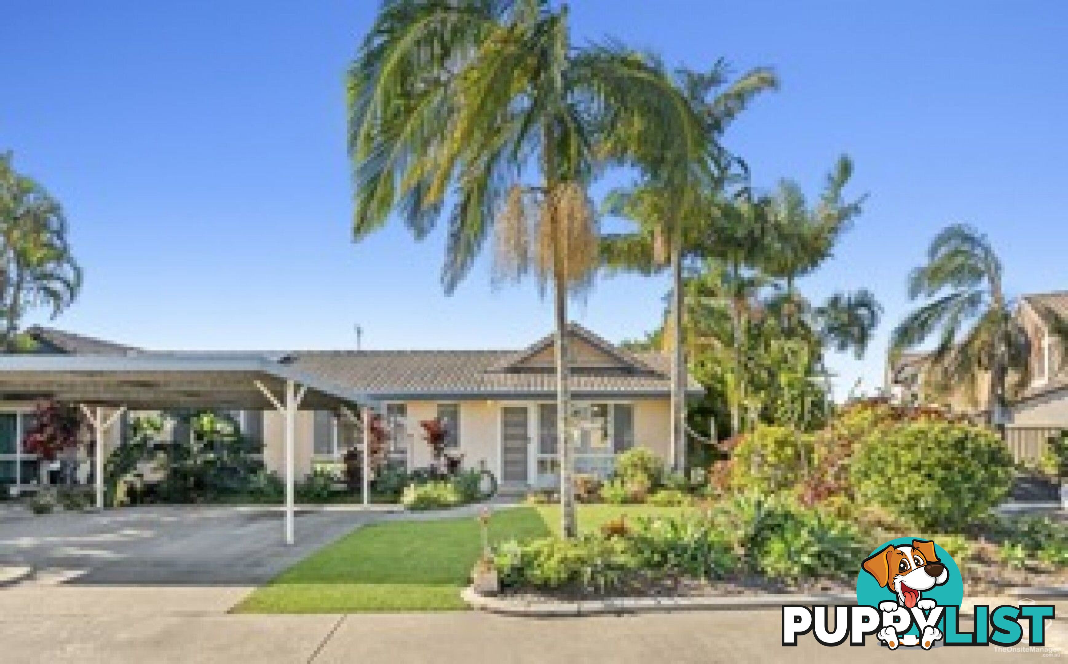 ID:21067280 50 St Kevins Avenue Benowa QLD 4217