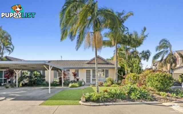 ID:21067280 50 St Kevins Avenue Benowa QLD 4217