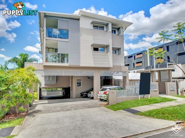 ID:21141798/58 Durham Street St Lucia QLD 4067