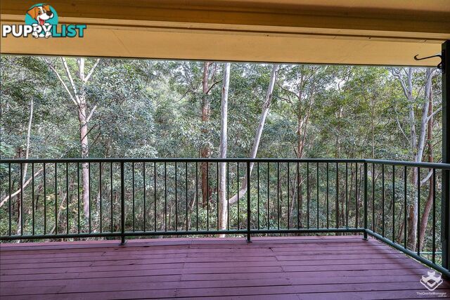 unit49/31 Simpsons Road Elanora QLD 4221