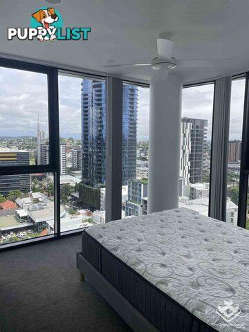 ID:21157495 1 Cordelia Street South Brisbane QLD 4101