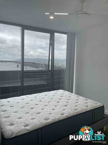 ID:21157495 1 Cordelia Street South Brisbane QLD 4101